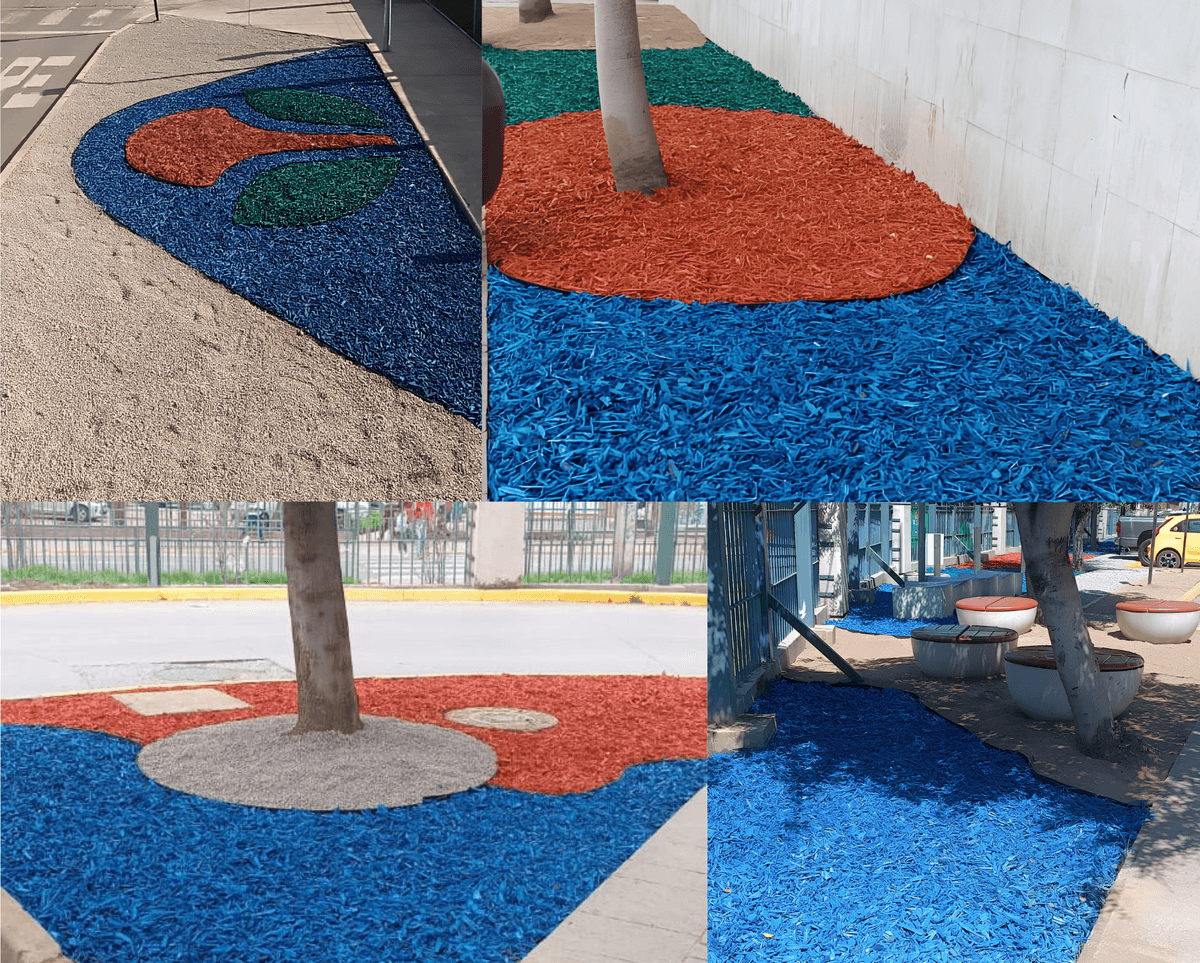 Paisajismo Seco y Reconversión Hídrica